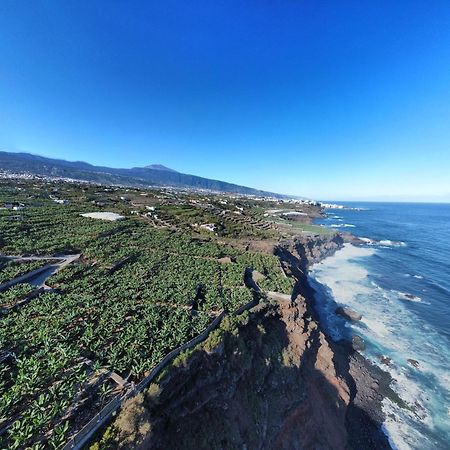 Banana Paradise La Orotava Ngoại thất bức ảnh