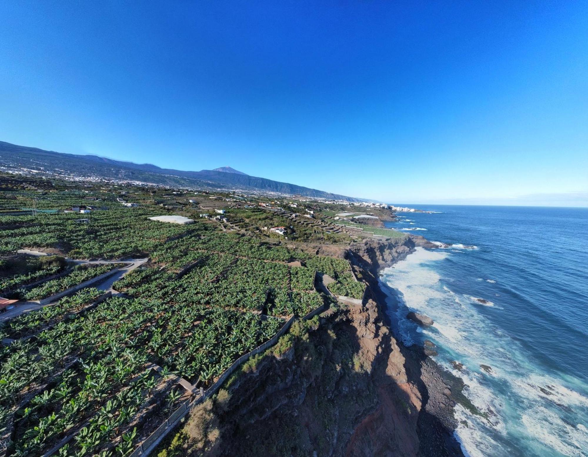Banana Paradise La Orotava Ngoại thất bức ảnh